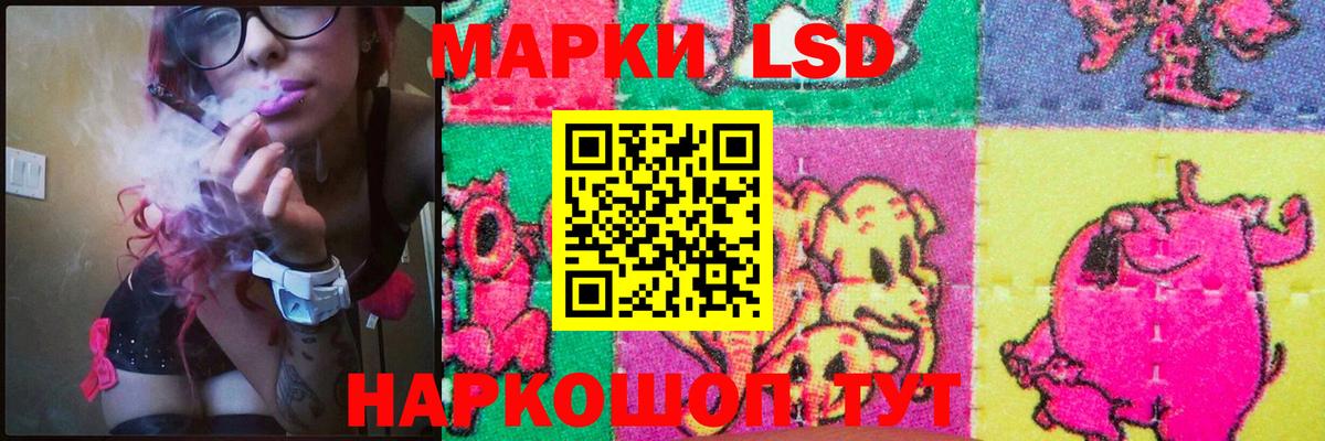 Сосновый Бор  ЛСД экстази ecstasy  Вход с VPN 