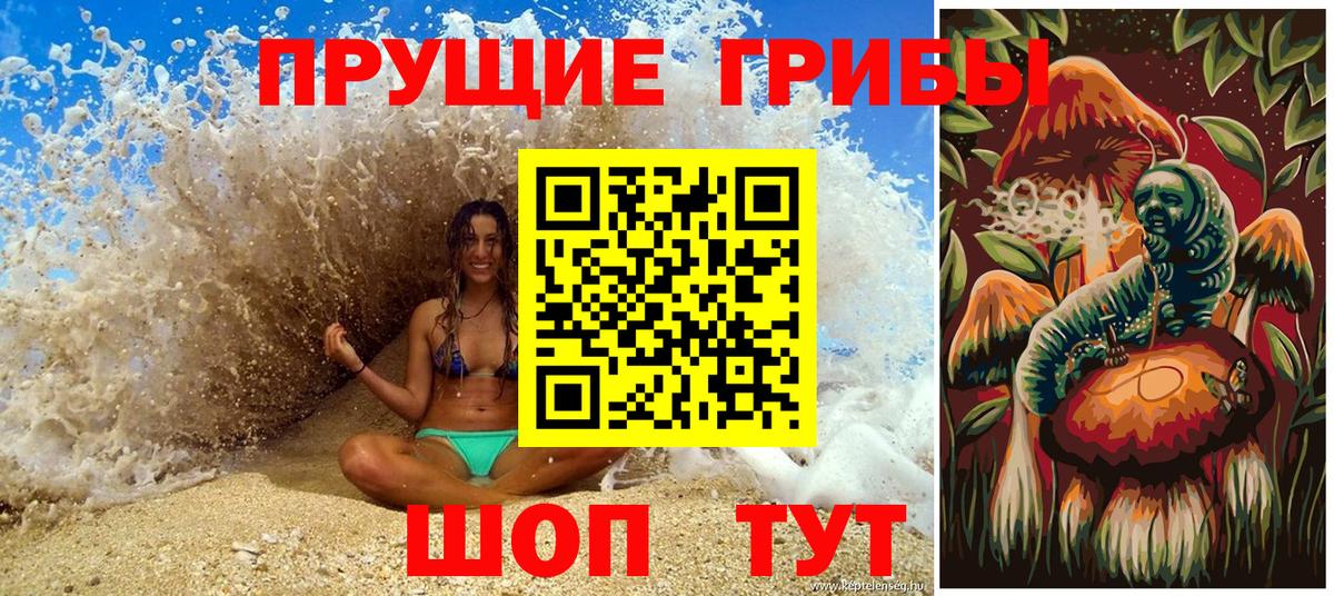Галлюциногенные грибы Psilocybe  Вход с VPN  Псилоцибиновые грибы GOLDEN TEACHER  Сосновый Бор 